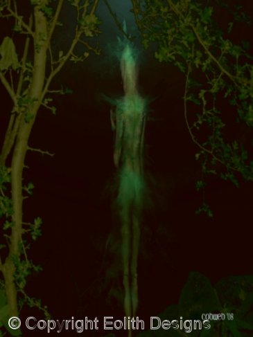 In the heart of the woods