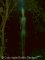 In the heart of the woods