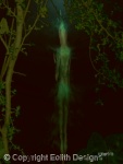 In the heart of the woods